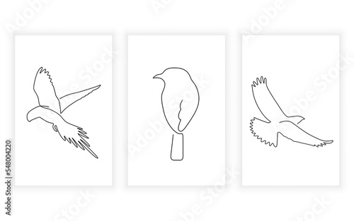 set of eagle and hawk line art continuous line hand drawn for logo design