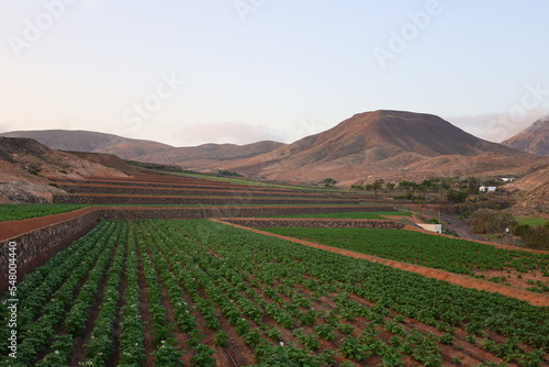 View on mountain in Natural Park of Jand  a to Fuerteventura    Natural Park of Jand  a      