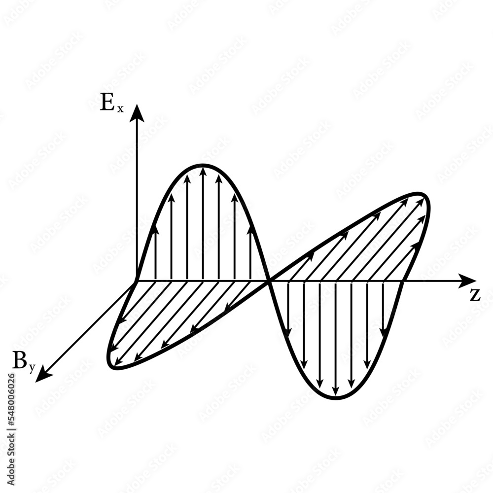 wave. Electric field and field oscillation