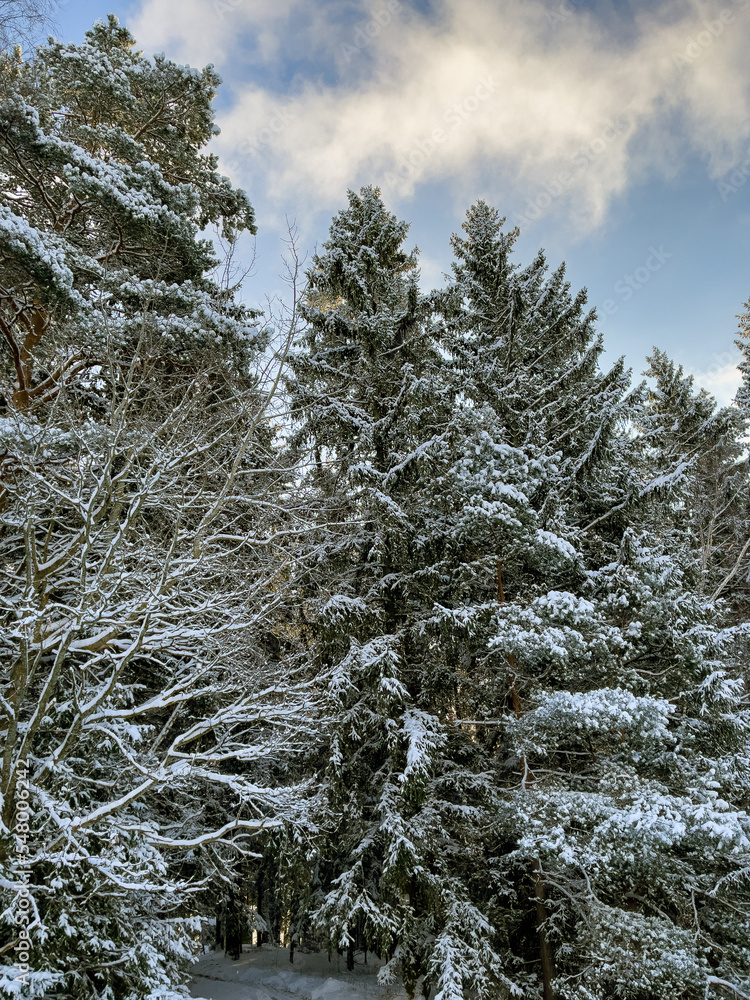 A winter day in the countryside of Latgale A winter day in the countryside of Latgale