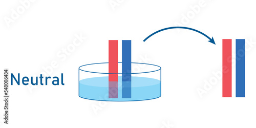 Natural indicators. Red litmus remains red and blue litmus remains blue.
