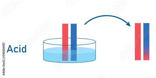 Acids cause blue litmus paper to turn red. Scientific vector illustration isolated on white background.