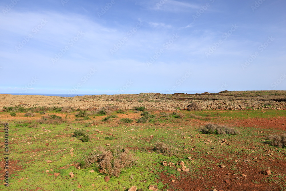 Fototapeta premium Viewpoint from the volcano Calderón Hondo in Fuerteventura 