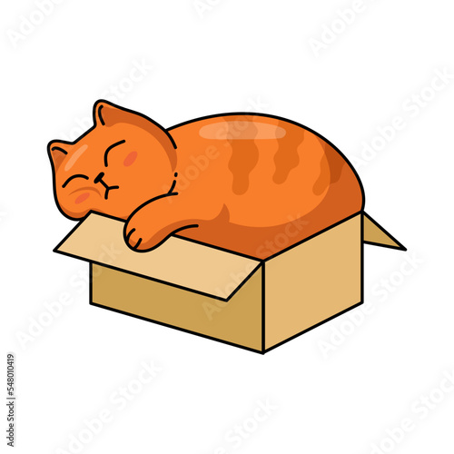 Cute sleeping cat in box sticker for T-shirt design. Cartoon funny kitten sleeping in carton or cardboard box isolated vector illustration