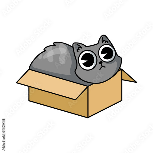 Cute cat in box sticker for T-shirt design. Cartoon funny kitten sitting in carton or cardboard box isolated vector illustration