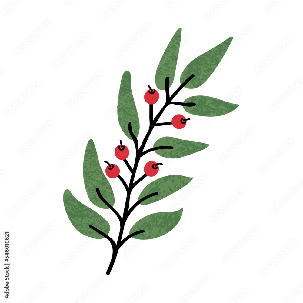 Fototapeta premium Vector Colorful illustration of plant with red berries isolated on white background
