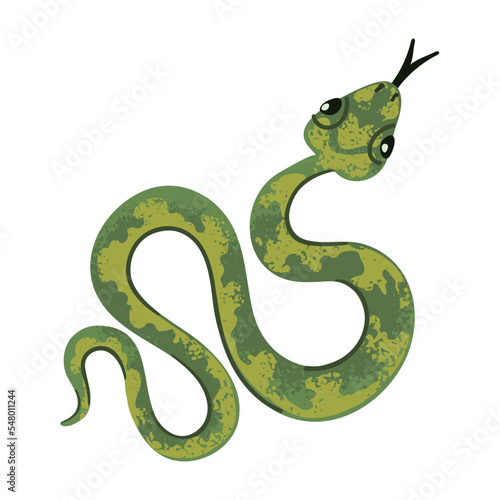 Vector Colorful Illustration of Snake crawling Isolated on White Background