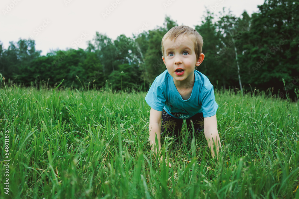 Surprised little boy on all fours in green grass on a summer day Surprised little boy on all fours in green grass on a summer day