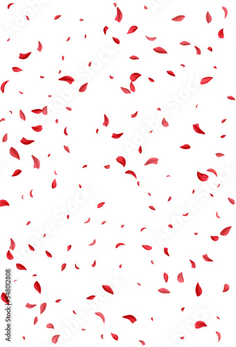 Red Floral Japan Vector White Background. Fall
