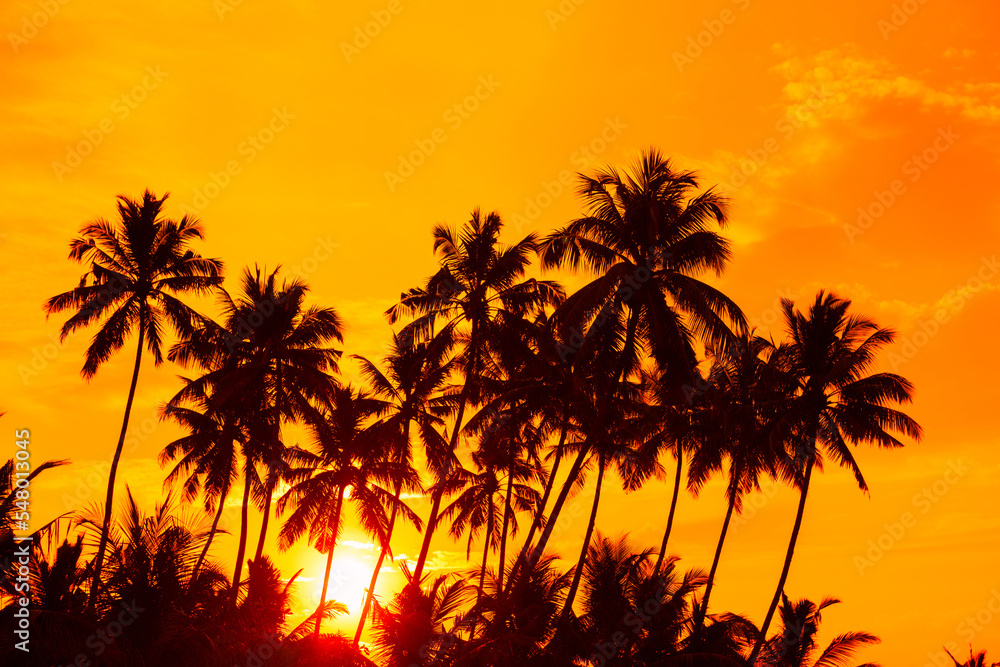Coconut palm trees on tropical beach at golden sunset with shining sun