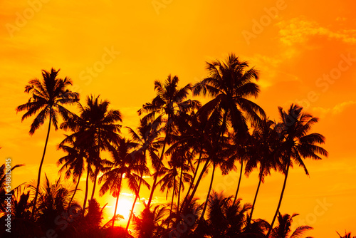 Coconut palm trees on tropical beach at golden sunset with shining sun © nevodka.com