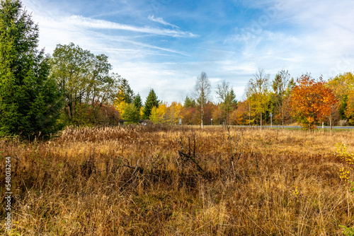 Herbstliche Erkundungstour durch die Rhön in der Nähe des Schwarzen Moors - Fladungen - Bayern