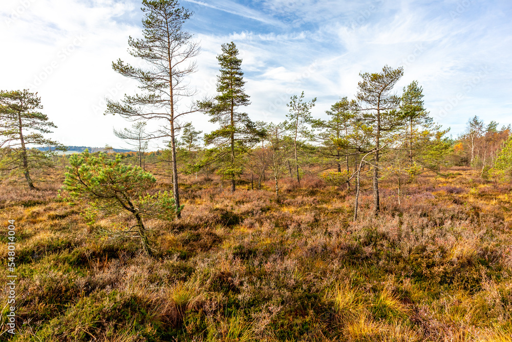 Herbstliche Erkundungstour durch die Rhön in der Nähe des Schwarzen Moors - Fladungen - Bayern Herbstliche Erkundungstour durch die Rhön in der Nähe des Schwarzen Moors - Fladungen - Bayern