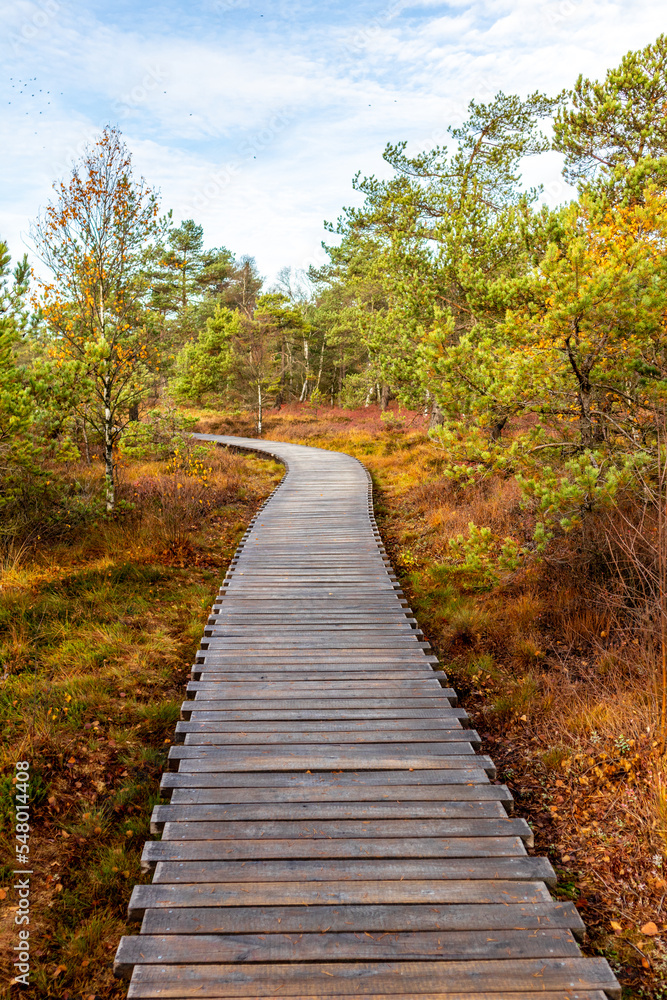Herbstliche Erkundungstour durch die Rhön in der Nähe des Schwarzen Moors - Fladungen - Bayern Herbstliche Erkundungstour durch die Rhön in der Nähe des Schwarzen Moors - Fladungen - Bayern