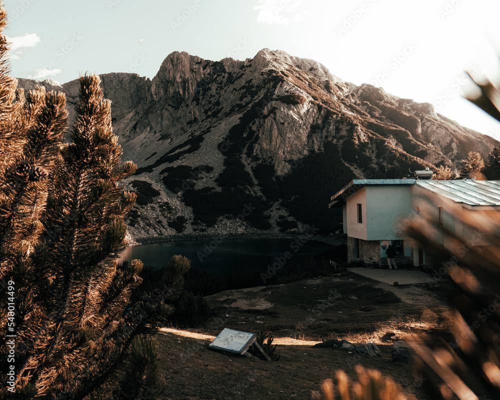 Fototapeta premium in the mountain