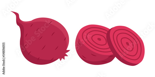 Beet cut into parts vector illustrations set. Big beetroot cut into half and slice on white background..Cooking, cutting, vegetable concept.