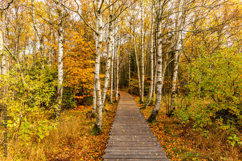 Herbstliche Erkundungstour durch die Rhön in der Nähe des Schwarzen Moors - Fladungen - Bayern Herbstliche Erkundungstour durch die Rhön in der Nähe des Schwarzen Moors - Fladungen - Bayern