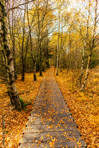 Herbstliche Erkundungstour durch die Rhön in der Nähe des Schwarzen Moors - Fladungen - Bayern