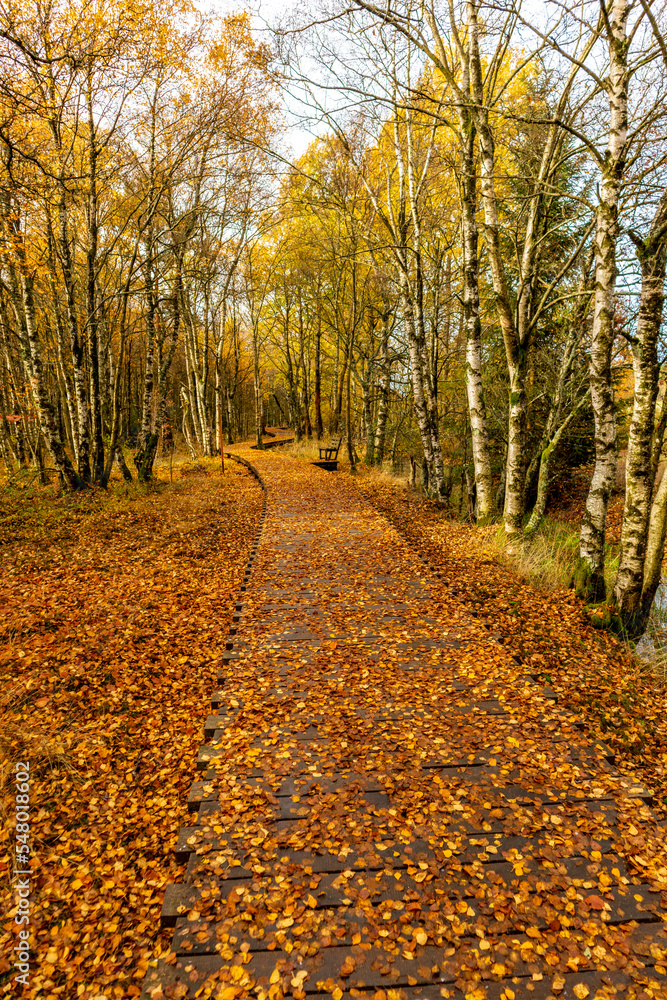 Herbstliche Erkundungstour durch die Rhön in der Nähe des Schwarzen Moors - Fladungen - Bayern