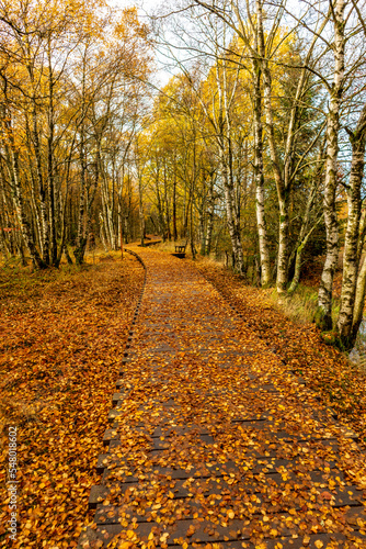 Herbstliche Erkundungstour durch die Rh  n in der N  he des Schwarzen Moors - Fladungen - Bayern