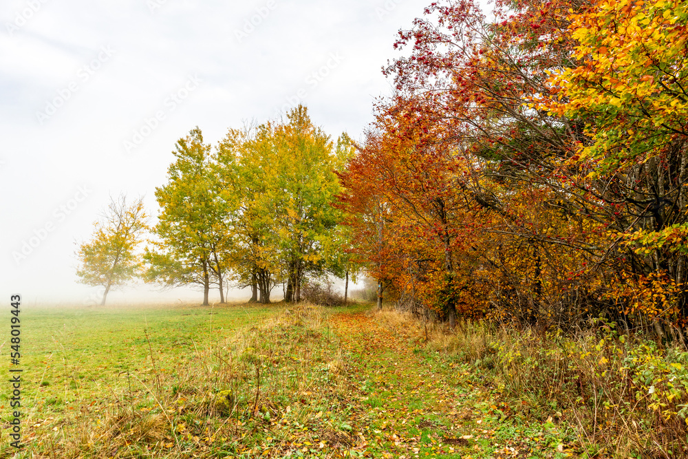 Fototapeta premium Herbstliche Erkundungstour durch die Rhön in der Nähe des Schwarzen Moors - Fladungen - Bayern