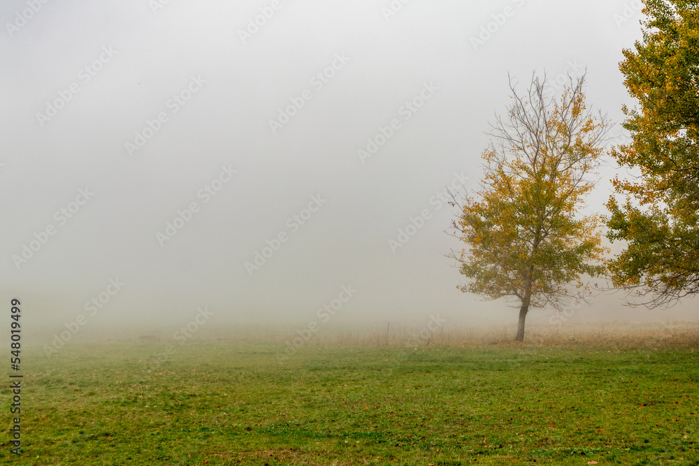 Herbstliche Erkundungstour durch die Rhön in der Nähe des Schwarzen Moors - Fladungen - Bayern Herbstliche Erkundungstour durch die Rhön in der Nähe des Schwarzen Moors - Fladungen - Bayern