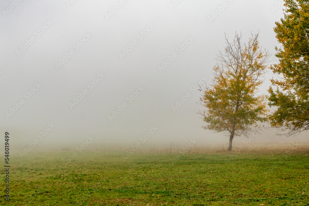 Herbstliche Erkundungstour durch die Rhön in der Nähe des Schwarzen Moors - Fladungen - Bayern