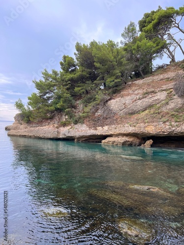 Pine island in the sea after rain.