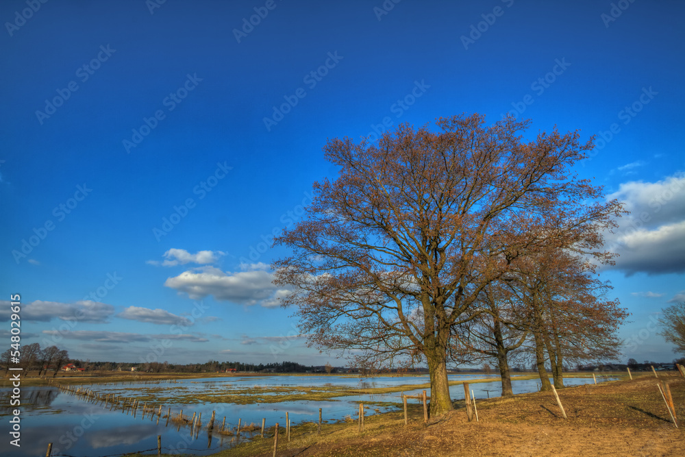 Landscape sunset or sundown river Narew Poland Europe spring time meadows under water Landscape sunset or sundown river Narew Poland Europe spring time meadows under water