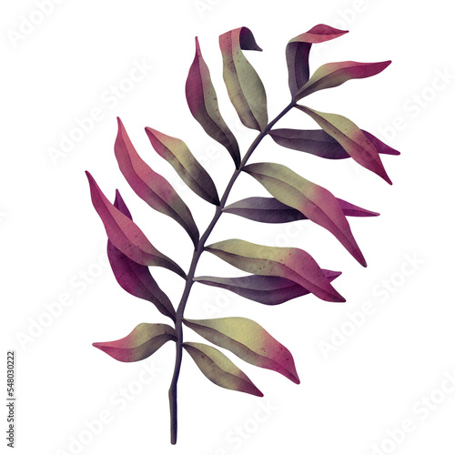 Watercolor leaf branches. Hand drawn watercolor illustration