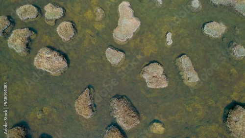 Drone shot of the wetland at the source of the Yarlung Zangbo River in Zhongba County, Tibet photo