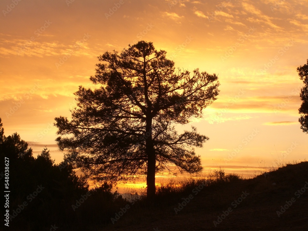 sunset in the mountains