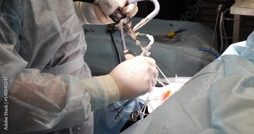 During arthroscopy, the veterinary surgeon inserts an instrument into an opening in the animal's knee. The doctor performs the restoration of the knee joint. The concept of orthopedics in animals. photo
