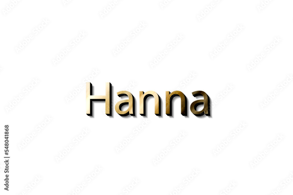 HANNA 3D MOCKUP