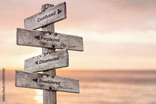 confused perplexed disoriented bewildered text written on wooden signpost outdoors at the beach during sunset photo