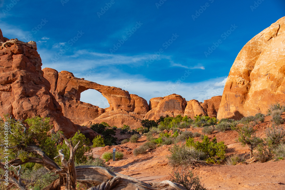 Desert scene near Moab, Utah, USA Desert scene near Moab, Utah, USA