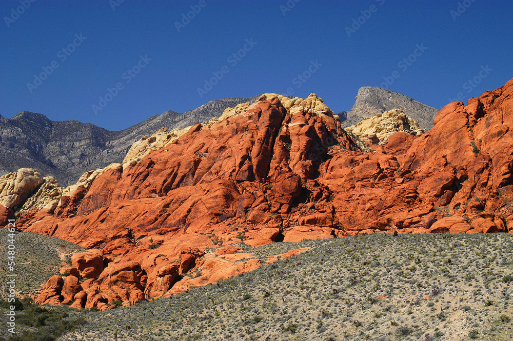 Fototapeta premium Red Rock Canyon