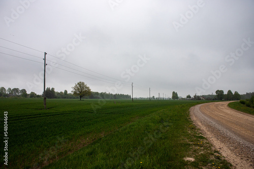 road in Latvia countryside. Zemgale flat landscape with fields and forest trees. Road from Jelgava town to Stalgene village