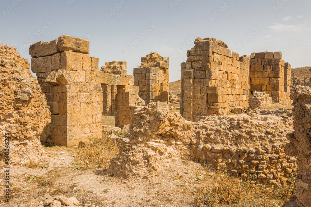 The roman ruins of Khemissa are located in the Algerian city of Souk Ahars. 