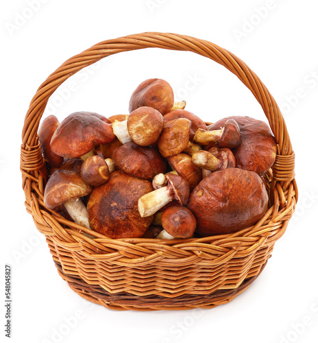 Basket with mushrooms.