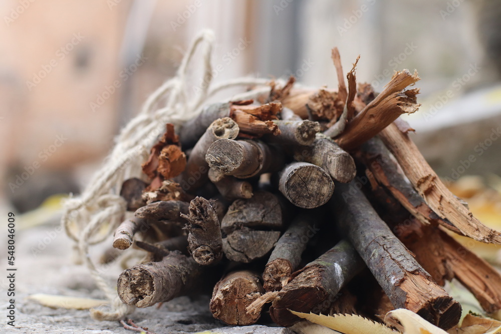 Leña, invierno
Troncos ordenados, atados con una cuerda
Estilo de vida rural Leña, invierno
Troncos ordenados, atados con una cuerda
Estilo de vida rural