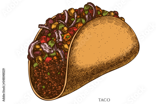 Street food hand drawn vector illustrations collection. Colored taco.