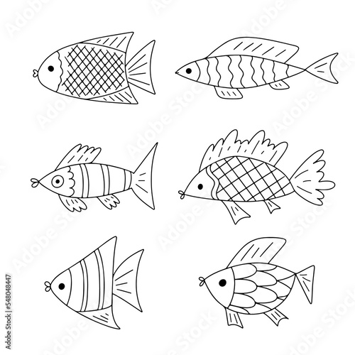 Fish set in hand drawn doodle style. Collection of fish, aquarium animal vector illustration for fabric sea ocean theme black white.