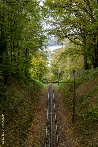 Small railroad running up the hill to Drachenfels in Germany