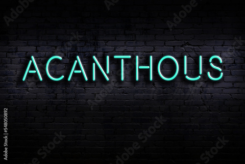 Neon sign. Word acanthous against brick wall. Night view photo