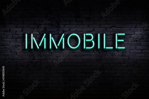 Night view of neon sign on brick wall with inscription immobile