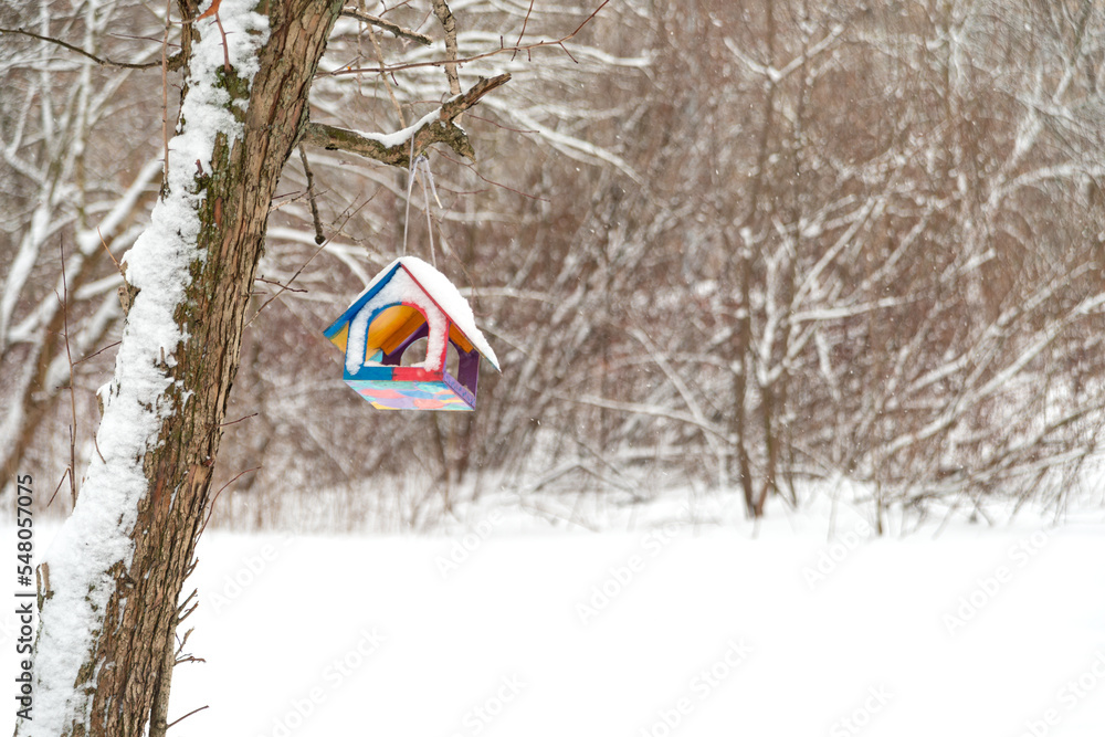 A wooden multi-colored birdhouse hangs on a tree in a snowy park.