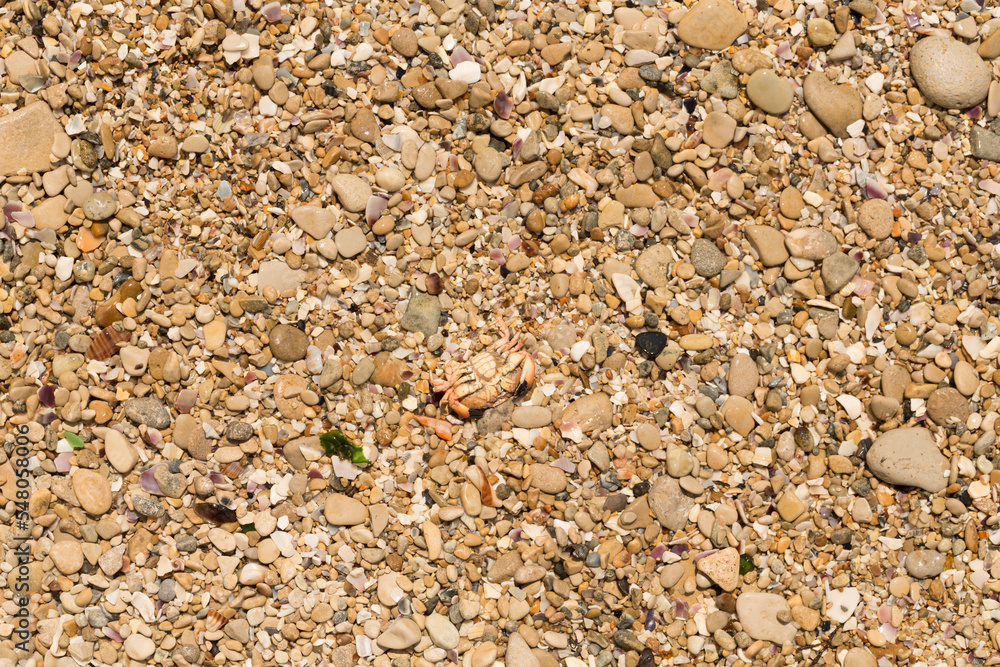 Small pebbles form the background of the sea shore. Coarse multicolor sand. Small pebbles form the background of the sea shore. Coarse multicolor sand.