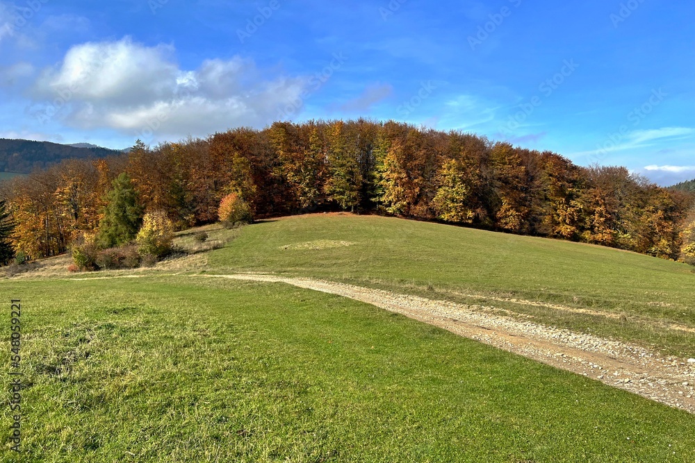 dirt road in the Strazovske Vrchy mountains