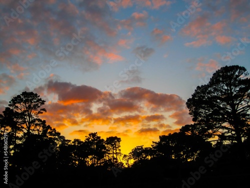 Tree silhouettes with a dramatic sunset cloudscape in the background photo